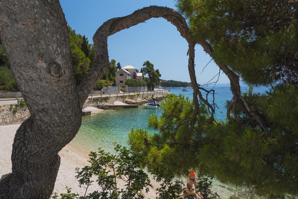 Villae Dalmaticae - Plava Sumartin Oda fotoğraf